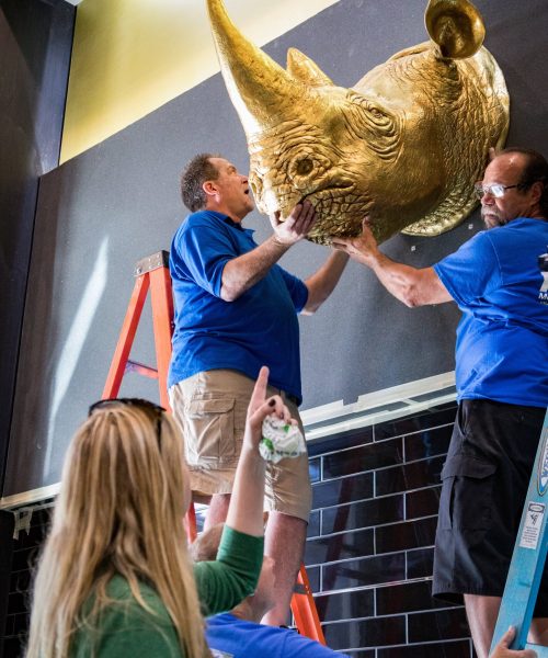 DFW-Fine-Art-Installers